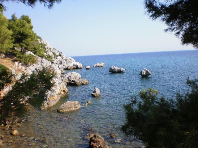 Rosa Agia Paraskevi (Kassandra)