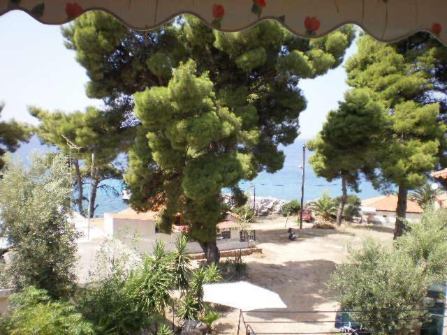 Rosa Apartment Agia Paraskevi (Kassandra)