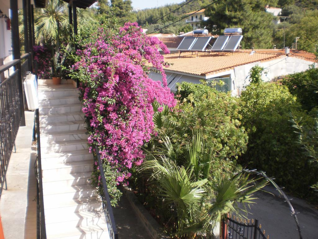 Apartment Rosa *